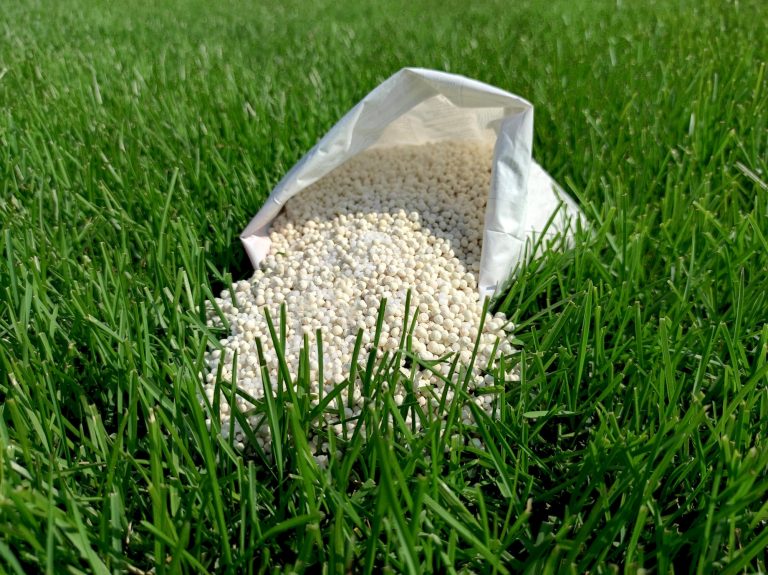 /NOMINATED/ Fertilizer for grass, lawn, meadow in a bag of white granules on green grass.